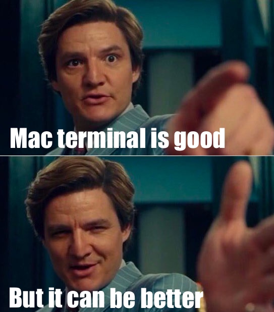 Meme about how the terminal can be better.